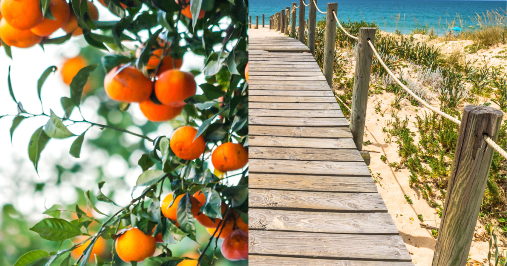 Explore the Sunny Algarve Region Portugal: Best Places to Visit 2024